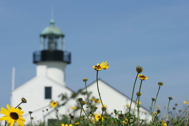 Tendenci-Stock-Images-by-Ed-Schipul-2008-12-5ed63_medium_640