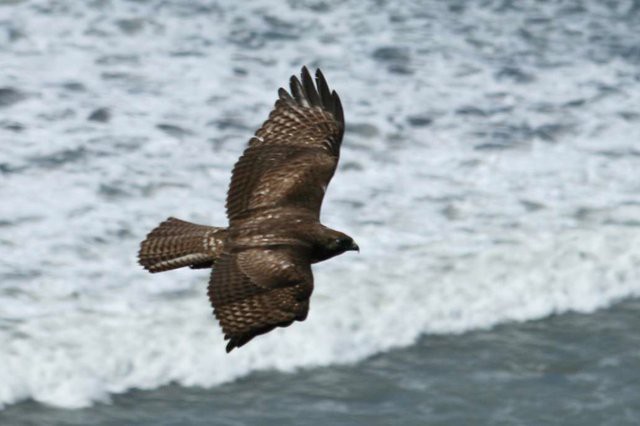 Tendenci-Stock-Images-by-Ed-Schipul-2008-13-665ce_medium_640